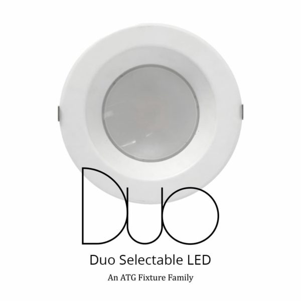 Duo Downlight Switchable