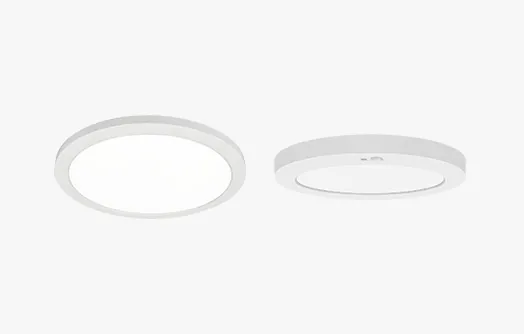 Flush & Ceiling Mount