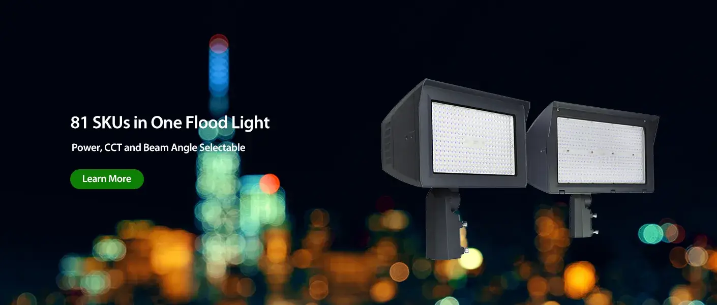 Flood Light